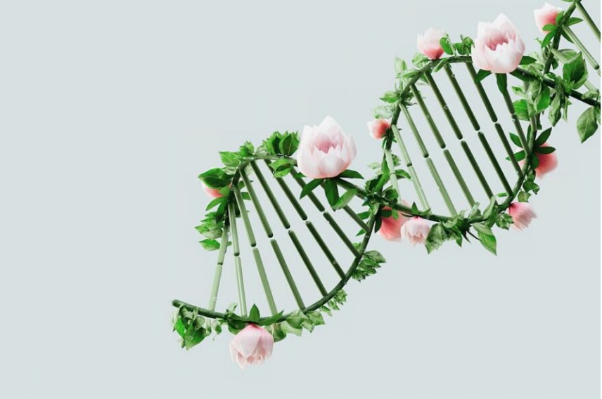 Read more about the article Генетика на анорексия нервоза и (внимателният) път към персонализираните терапии